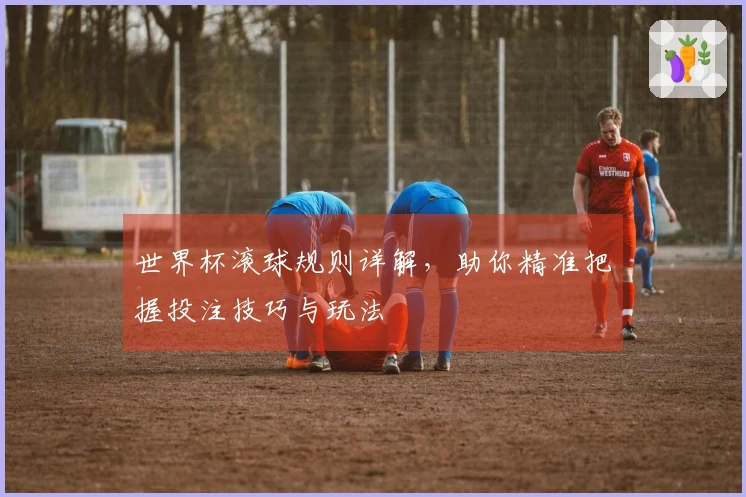 世界杯滚球规则详解，助你精准把握投注技巧与玩法