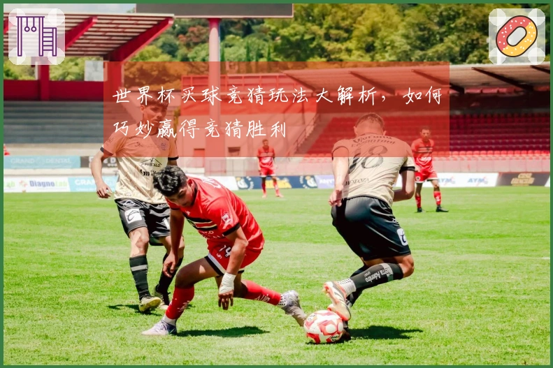 世界杯买球竞猜玩法大解析，如何巧妙赢得竞猜胜利