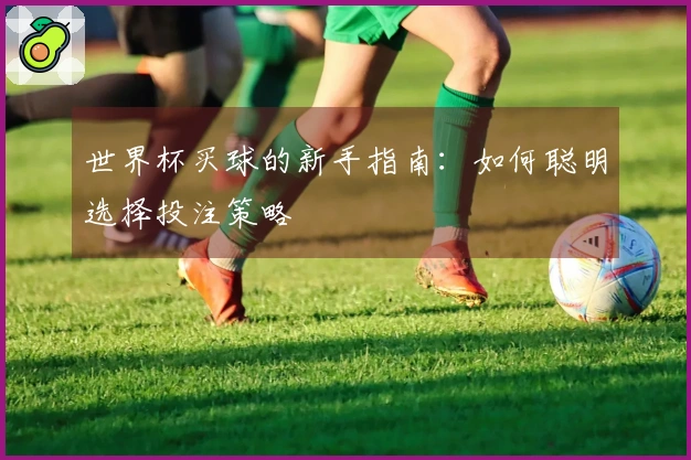 世界杯买球的新手指南：如何聪明选择投注策略
