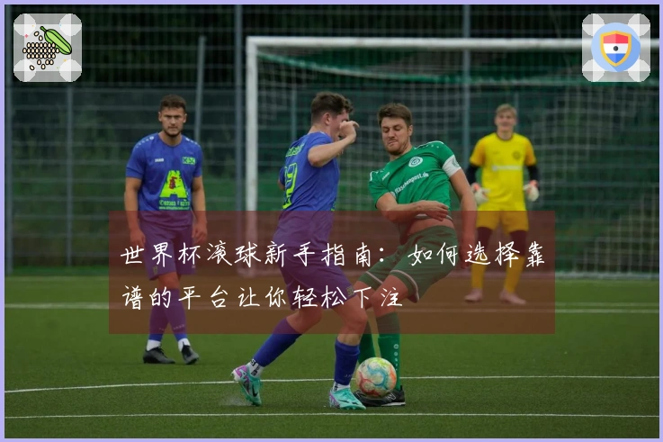 世界杯滚球新手指南：如何选择靠谱的平台让你轻松下注