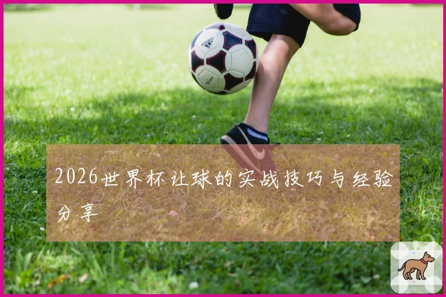 2026世界杯让球的实战技巧与经验分享