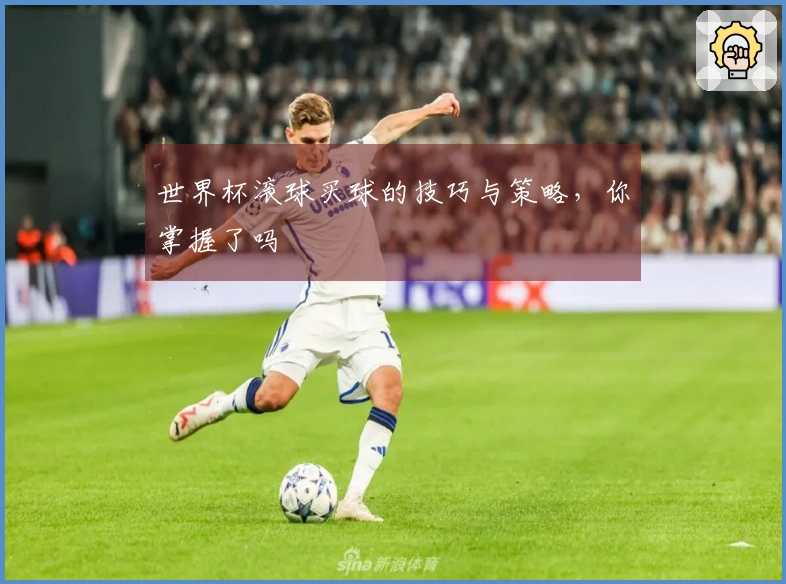 世界杯滚球买球的技巧与策略，你掌握了吗