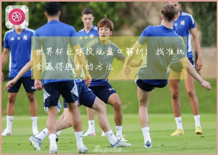 世界杯让球投注盘口解析：找准机会赢得胜利的方法