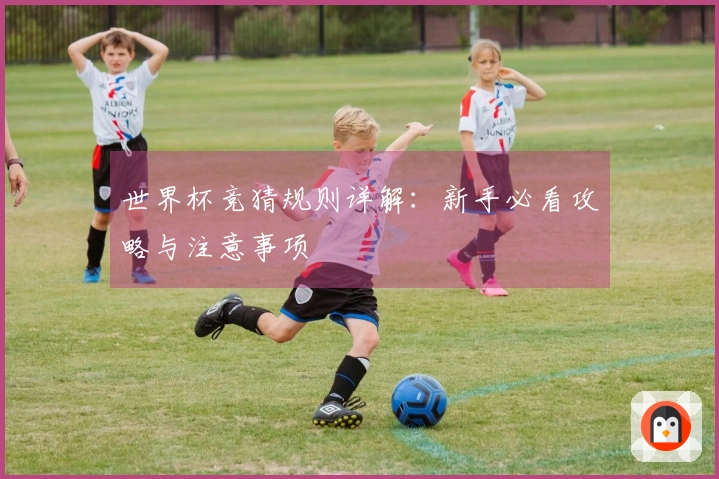世界杯竞猜规则详解：新手必看攻略与注意事项