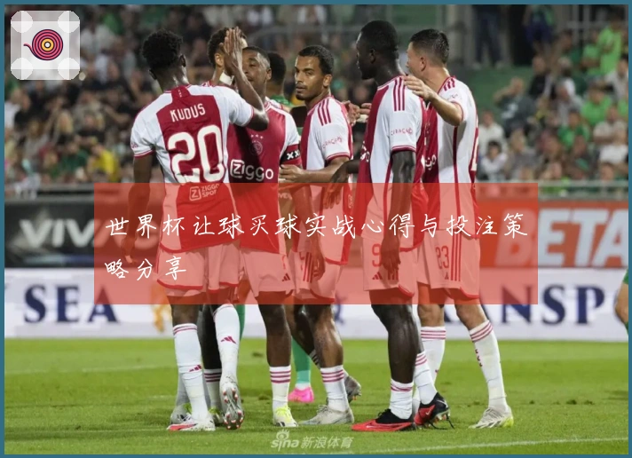 世界杯让球买球实战心得与投注策略分享