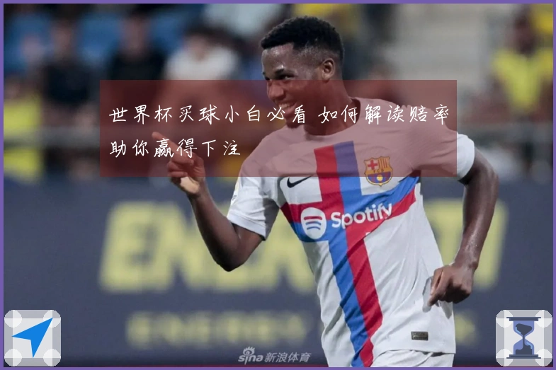 世界杯买球小白必看 如何解读赔率助你赢得下注