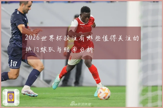 2026世界杯投注有哪些值得关注的热门球队与赔率分析