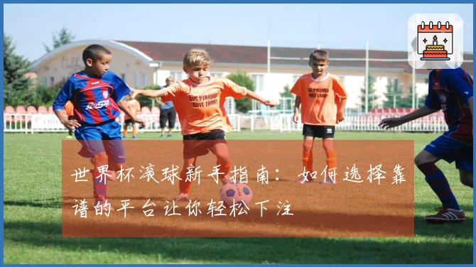 世界杯滚球新手指南：如何选择靠谱的平台让你轻松下注