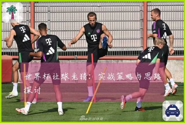 世界杯让球竞猜：实战策略与思路探讨