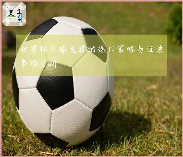 世界杯买球竞猜的热门策略与注意事项分析