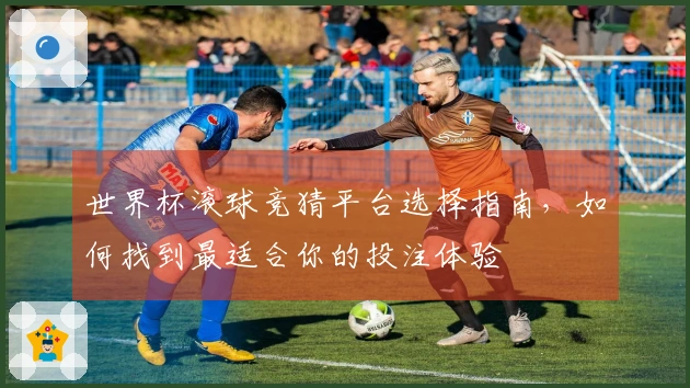 世界杯滚球竞猜平台选择指南，如何找到最适合你的投注体验