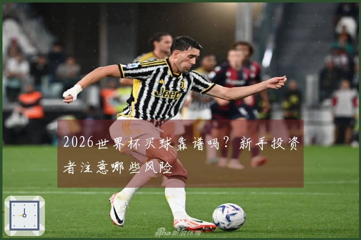 2026世界杯买球靠谱吗？新手投资者注意哪些风险